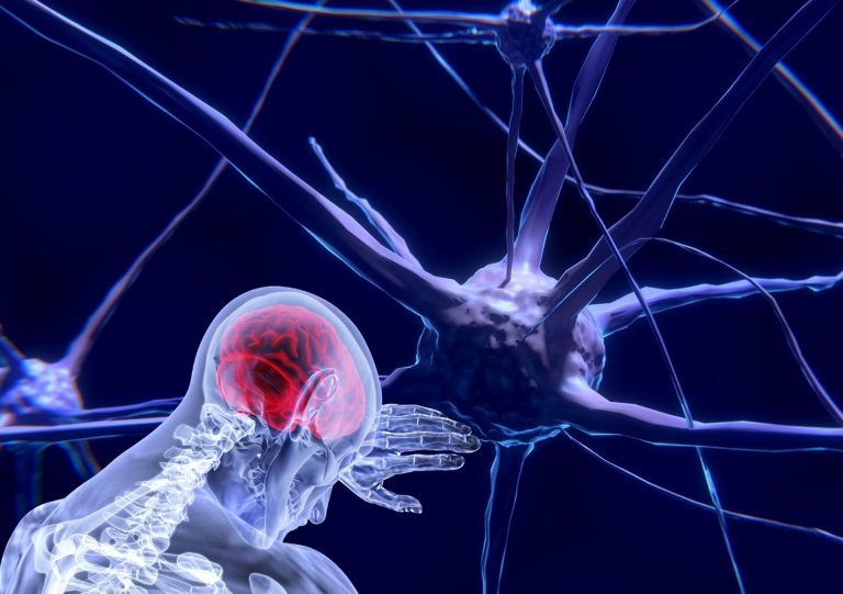 Conexiones neuronales asociadas al proceso de terapia EMDR